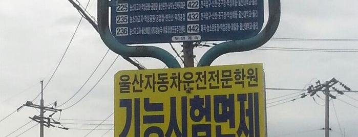 농소공영차고지(25317) is one of 울산 시내버스 정류장.