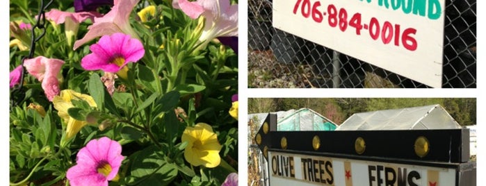 Adaleigh's Plant Nursery And Gift Shop is one of Places in LaGrange I Frequent....