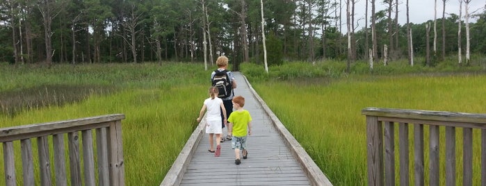 Bethany Beach Nature Center is one of Delaware.
