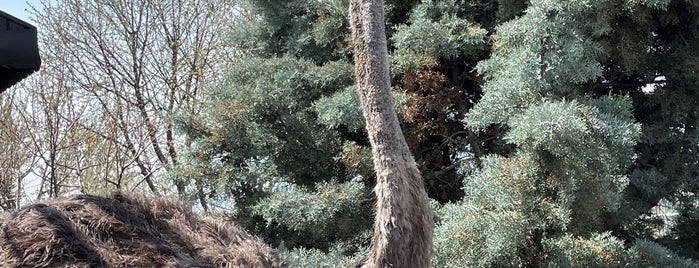 Berra Hanımın Çiftliği is one of Tempat yang Disimpan Şevket.