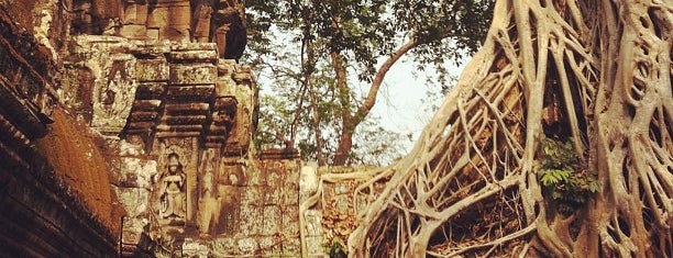 Ta Prohm is one of South East Asia Travel List.