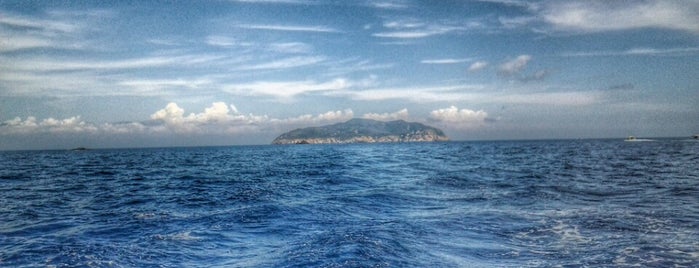 Isola di Zannone is one of Circeo/Ponza.