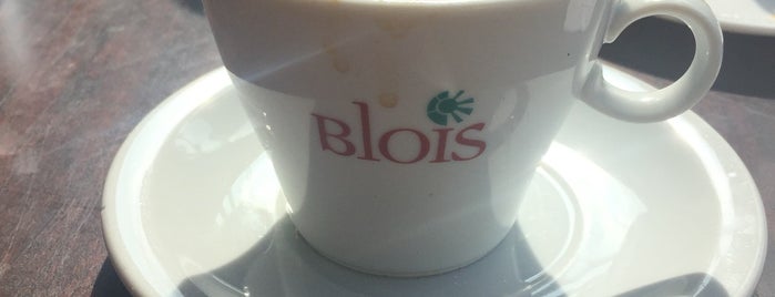 Blois is one of Mi pueblo.