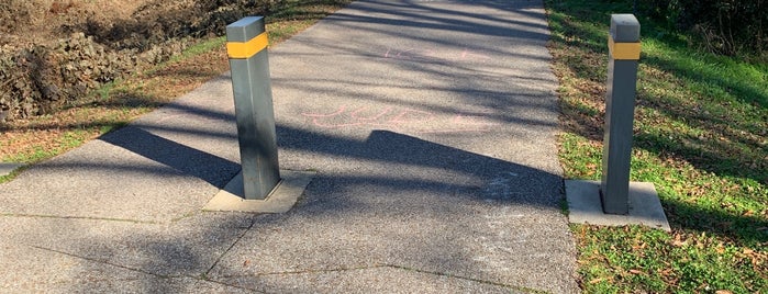 Shelby Farms Greenline is one of Dirty South.