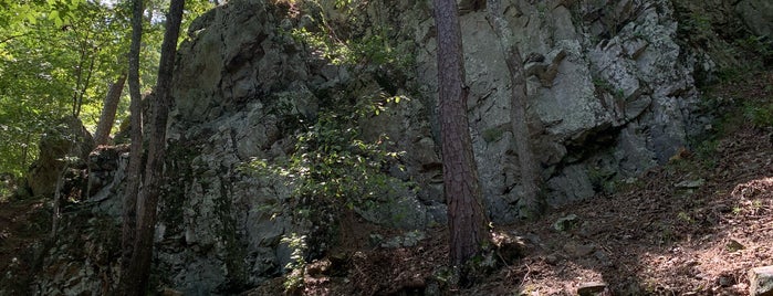 Gulpha Gorge is one of Orte, die Nosh gefallen.