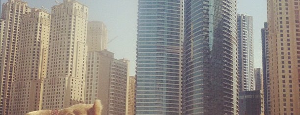 The Walk at JBR is one of Dubai.