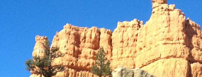 Red Canyon is one of Spots in South Utah.