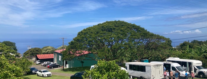 Greenwell Farms Coffee Plantation is one of David’s Liked Places.