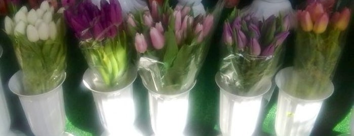 Квіти / Flowers is one of Lieux sauvegardés par Maria.