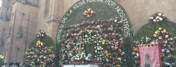 Plaza Anaya is one of recorrido cultural salamanca.