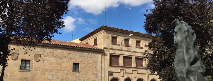 Casa de Santa Teresa (Juan de Ovalle) is one of salamanca.