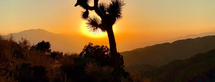 Joshua Tree National Park is one of Desert Dreamin'.