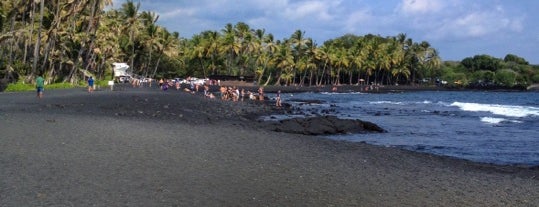 Punalu'u Black Sand Beach is one of Hawai'i.