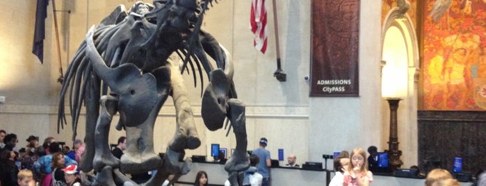 American Museum of Natural History is one of NYC todo.