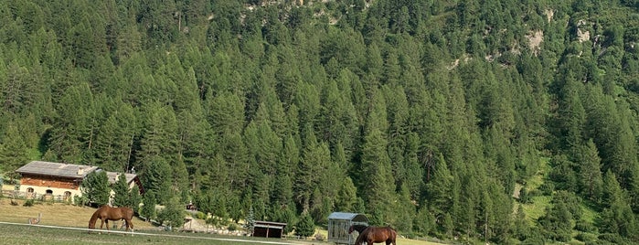 Agriturismo La Tresenda is one of 4 Ristoranti - i vincenti.