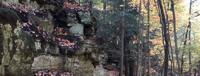 The Ledges is one of Michigan.