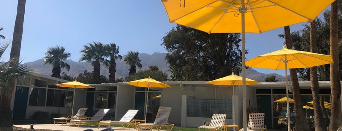 The Monkey Tree Hotel is one of Palm Springs with Cyn.