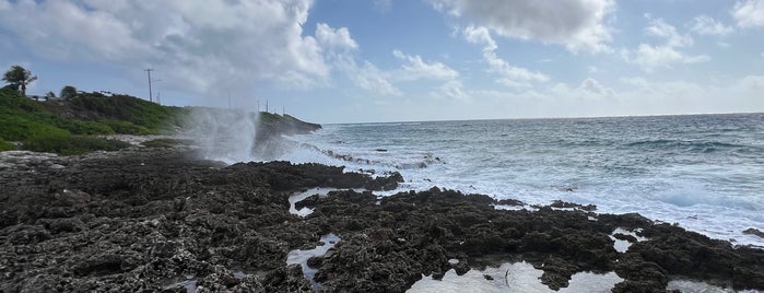 Blowholes is one of Carribean blue.