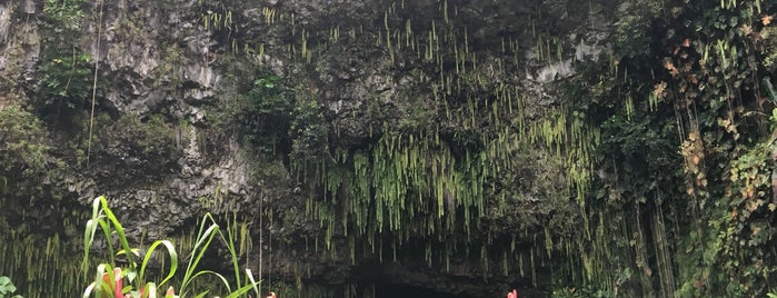 Fern Grotto is one of Jasonさんのお気に入りスポット.