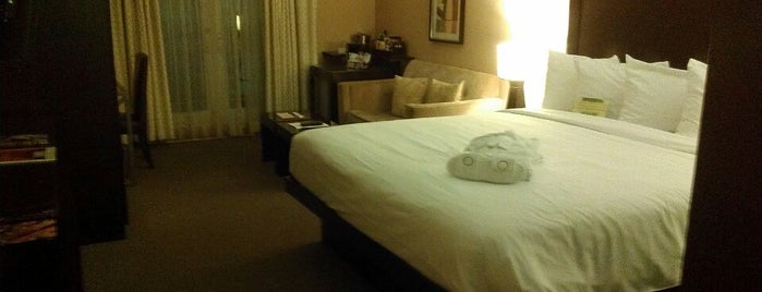 The Orlando Hotel is one of Posti che sono piaciuti a Alyx.
