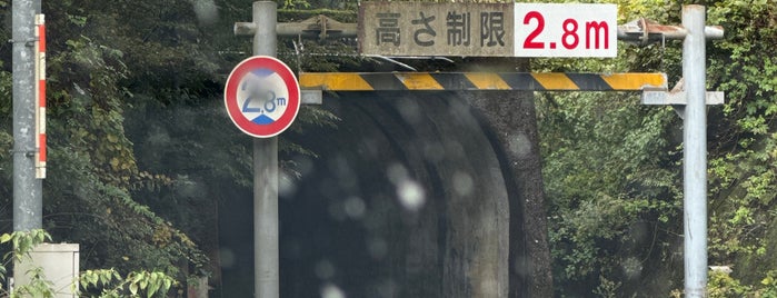 柳ヶ瀬トンネル (柳ヶ瀬隧道/北陸本線跡) is one of 近代化産業遺産V 近畿地方.