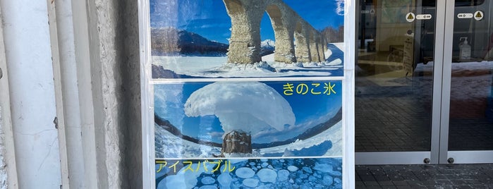 旧国鉄士幌線アーチ橋見学ツアー is one of สถานที่ที่ 亮さん ถูกใจ.