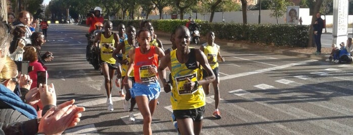 Maratón de Valencia Divina Pastora is one of Jorge : понравившиеся места.