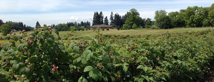 philbrook farms is one of Tempat yang Disukai Ricardo.