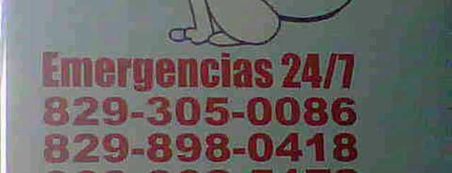 Clinica Veterinaria