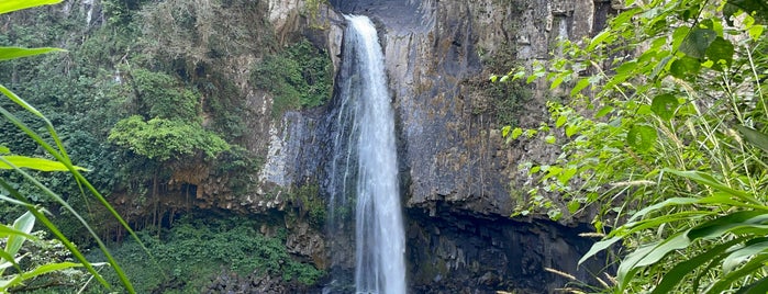 Cascada Texolo is one of Favoritos.