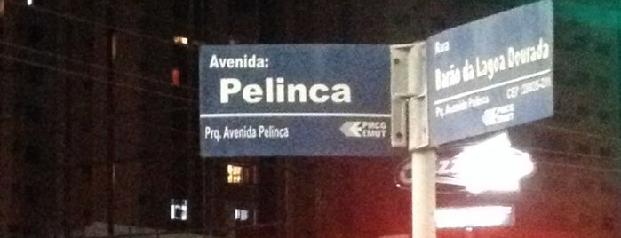 Avenida Pelinca is one of Top 10.