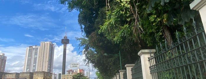 Bosque Rodrigues Alves - Jardim Botânico da Amazônia is one of Belém.