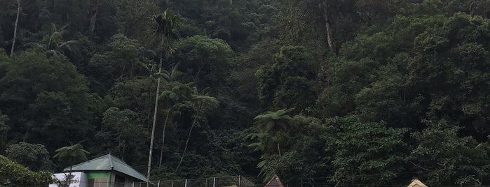 Taman Nasional Gunung Merapi is one of Java / Indonesien.