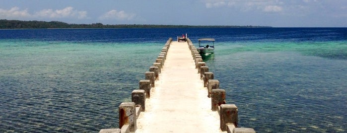 Hoga Island is one of Lugares favoritos de RizaL.