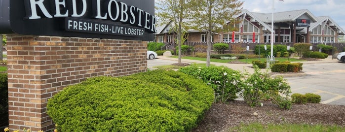 Red Lobster is one of Schaumburg.
