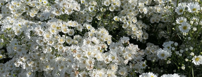 Hokkaido Flower Park is one of Posti che sono piaciuti a farsai.