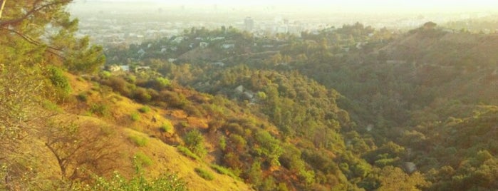 Parque Griffith is one of Los Angeles.