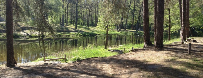 Міський ставок is one of Ника's Saved Places.