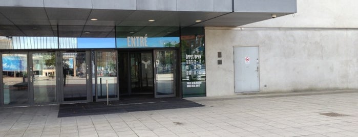 Museum of World Culture is one of Göteborgspärlor.