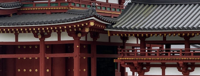 Hoodo (Phoenix Hall) is one of Japan Trip.