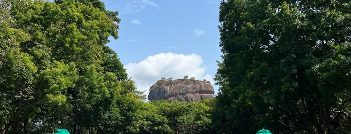 Hotel Sigiriya is one of Dirkさんのお気に入りスポット.