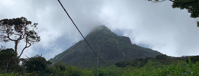 Sri Pada (Adam's Peak) is one of Sri Lanca.