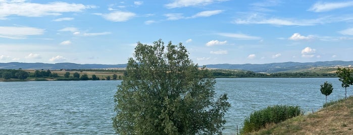 Pavlovačko jezero is one of Lugares favoritos de MarkoFaca™🇷🇸.