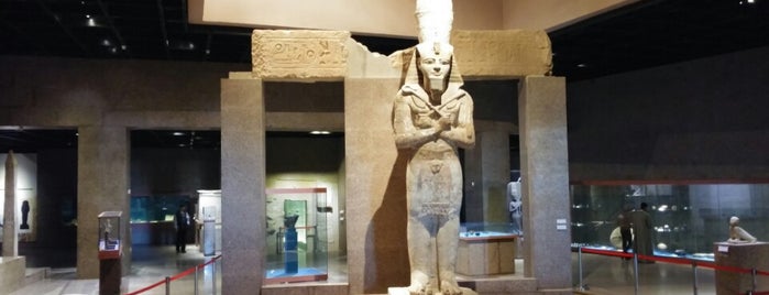 Nubian Museum is one of Egypt.