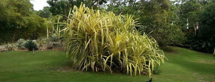 Carambola Gardens is one of NikNak’s Liked Places.