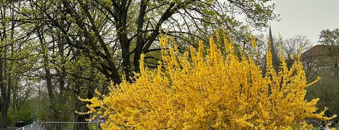 Volkspark Wilmersdorf is one of Berlin.