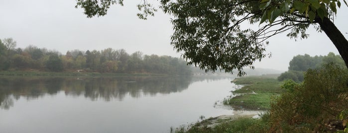 Остер десна. Остер десна. Остёр (приток сожа). Отдых на реке десна. Трубчевск мост через десну.