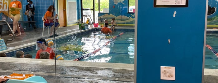 Goldfish Swim School - Westerville is one of Locais curtidos por Tammy.