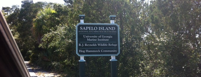 Sapelo Island Ferry Landing: West is one of Tempat yang Disukai Brynn.