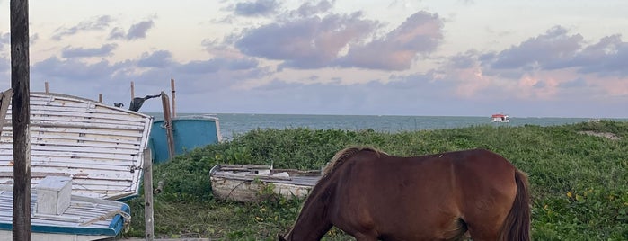 Praia de Camboinha is one of Joao Pessoa.